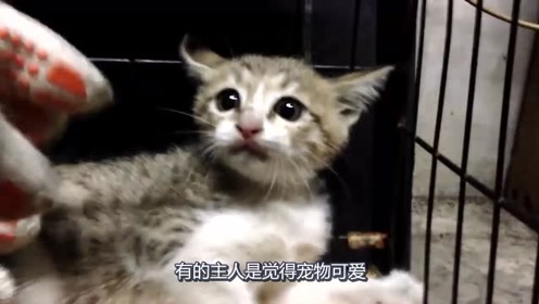 腾讯视频