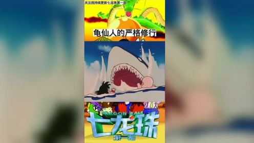 龟仙人的严格修行 腾讯视频