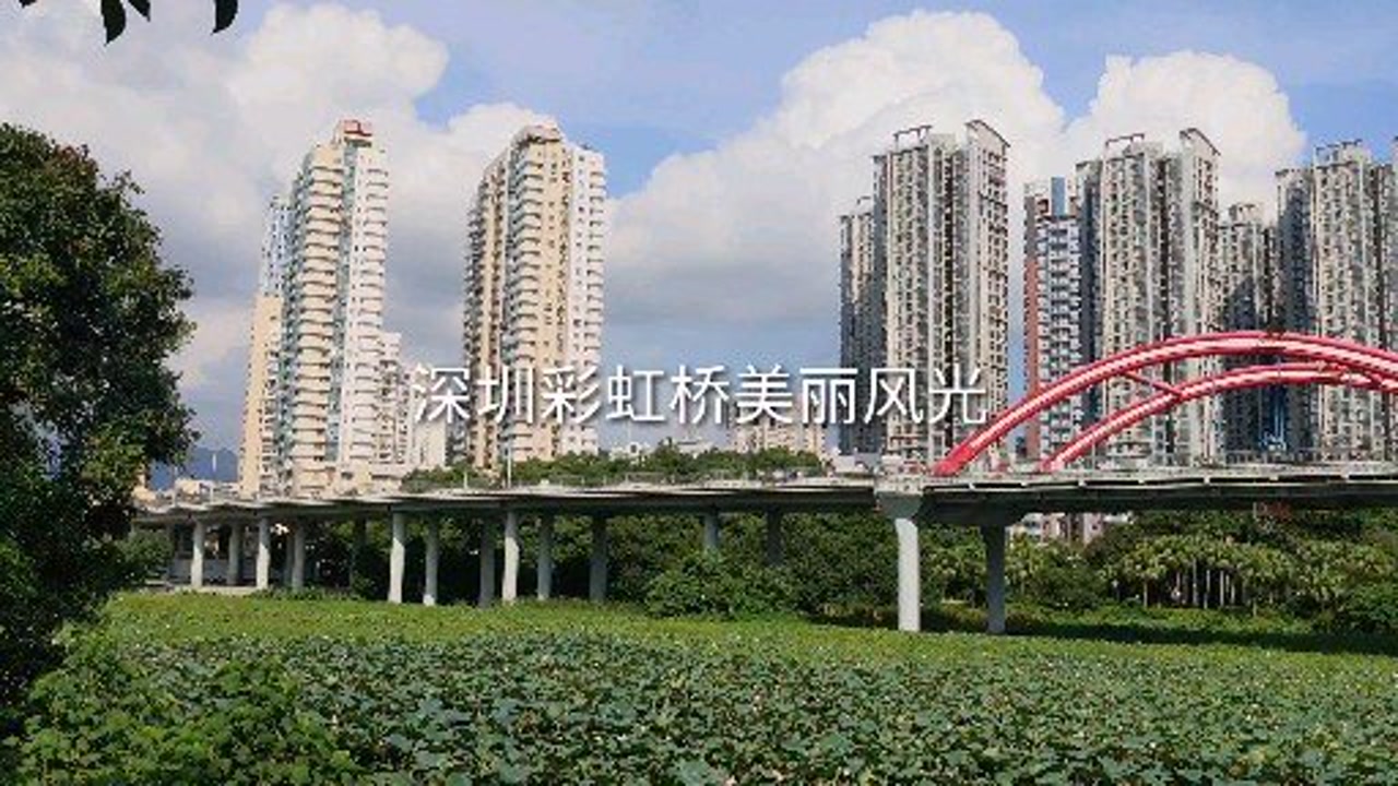 晴朗的天空,漫步在深圳洪湖公园,欣赏着美丽的彩虹桥风光,令人心旷神