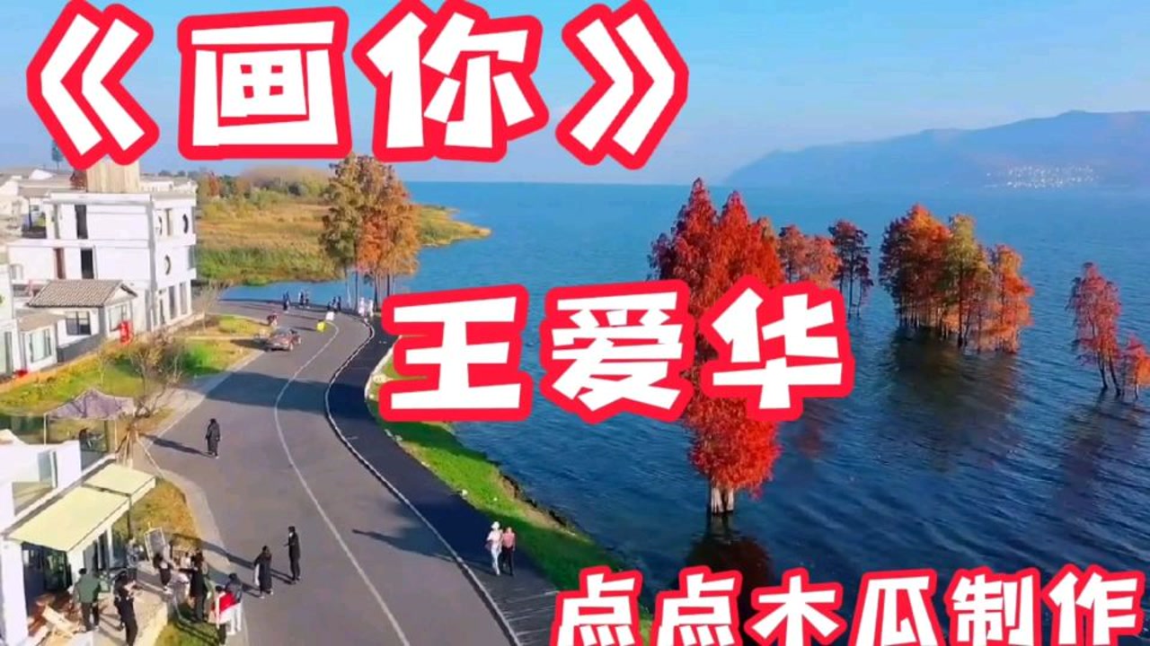 《画你》王爱华
