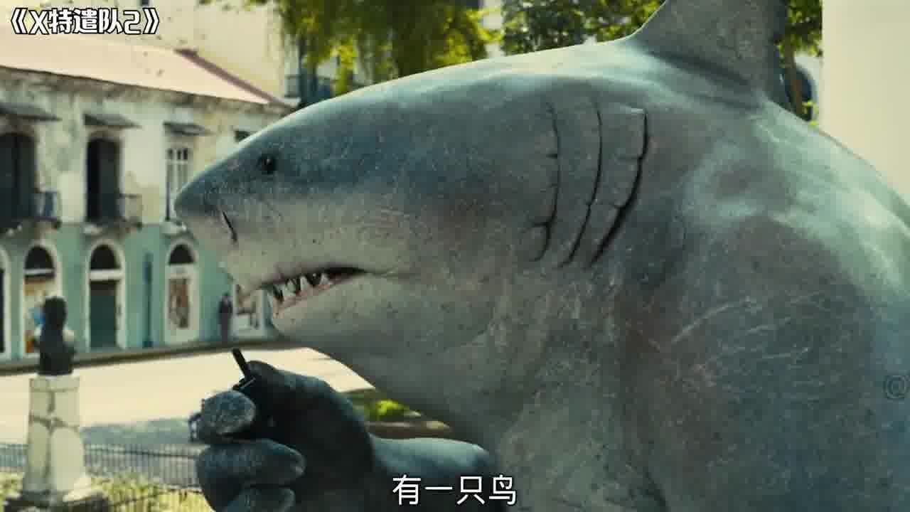 盘点六种变异鲨鱼,这么可爱的鲨鱼王你见过吗?五头鲨鱼异常凶猛