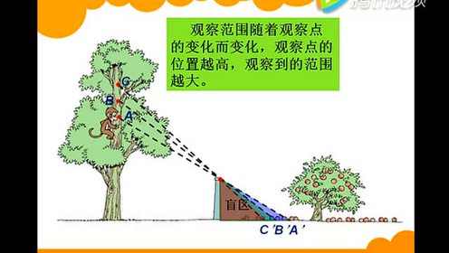 新北师大版六年级数学上册第3单元 观察物体