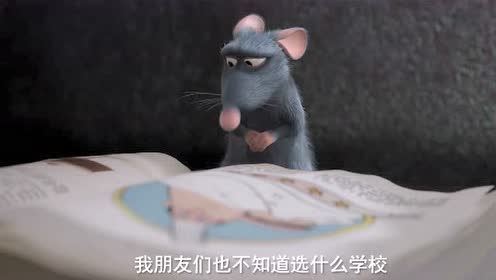 料理鼠王 維基百科 自由的百科全書