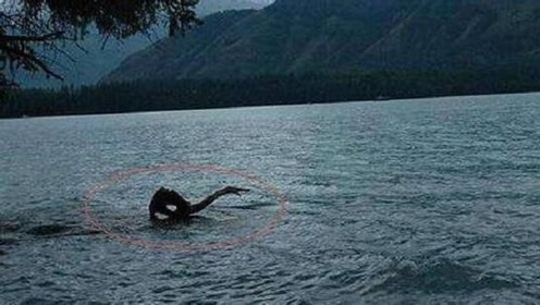 新疆湖泊发现一神秘"水怪",专家撒下大网,结果让人惊讶