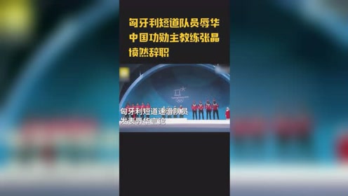 张晶 腾讯视频