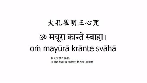 梵音咒语大孔雀明王心咒阿米达南达 腾讯视频