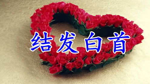 结发白首简谱_以我深情许你白首简谱