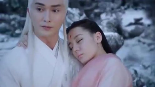 三生三世枕上书:叶青缇阻止白凤九入结界,居心不良还是爱凤九?