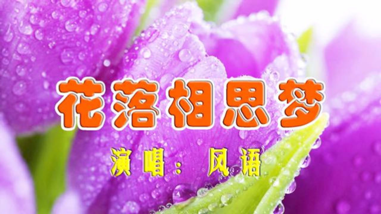 爱却不能爱,忘却忘不掉《花落相思梦-风语