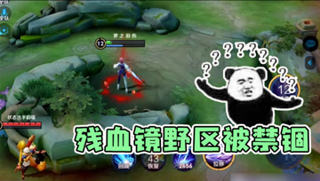 梦泪排位遇上高仿AG成员？残血镜遇上老夫子野区对峙，有本事就过来啊！