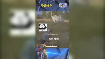 LOL小智：瞬杀流枪法，我这波帅不帅！