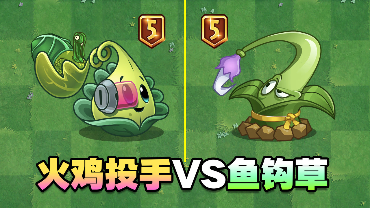 5阶火鸡投手vs5阶鱼钩草,结局会如何?