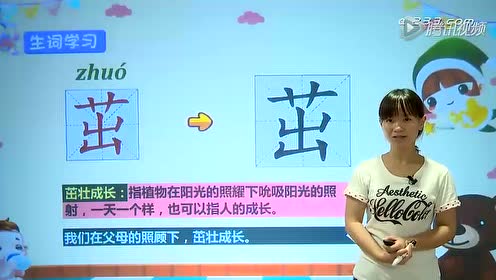 四年級語文下冊19 生命 生命