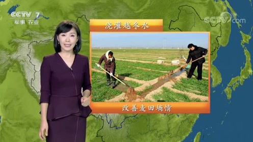 中央气象台农业天气预报