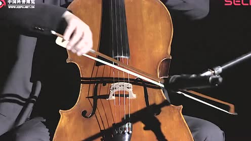 欢乐颂大提琴初学者曲谱_欢乐颂曲谱(2)
