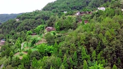 走进四川广元大山中的农村,依山傍水好风景,是你想要的地方吗