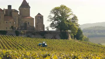 法式生活艺术造就了法国电影