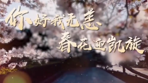 春花迎凯旋,英雄城市重获新生