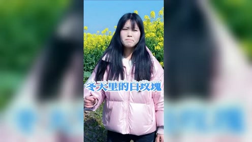 星光灿烂简谱_厚于德 诚于信 敏于行(2)