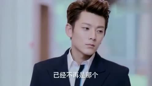 老婆是老总_华为老总任三老婆照片