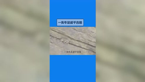 牛足 腾讯视频