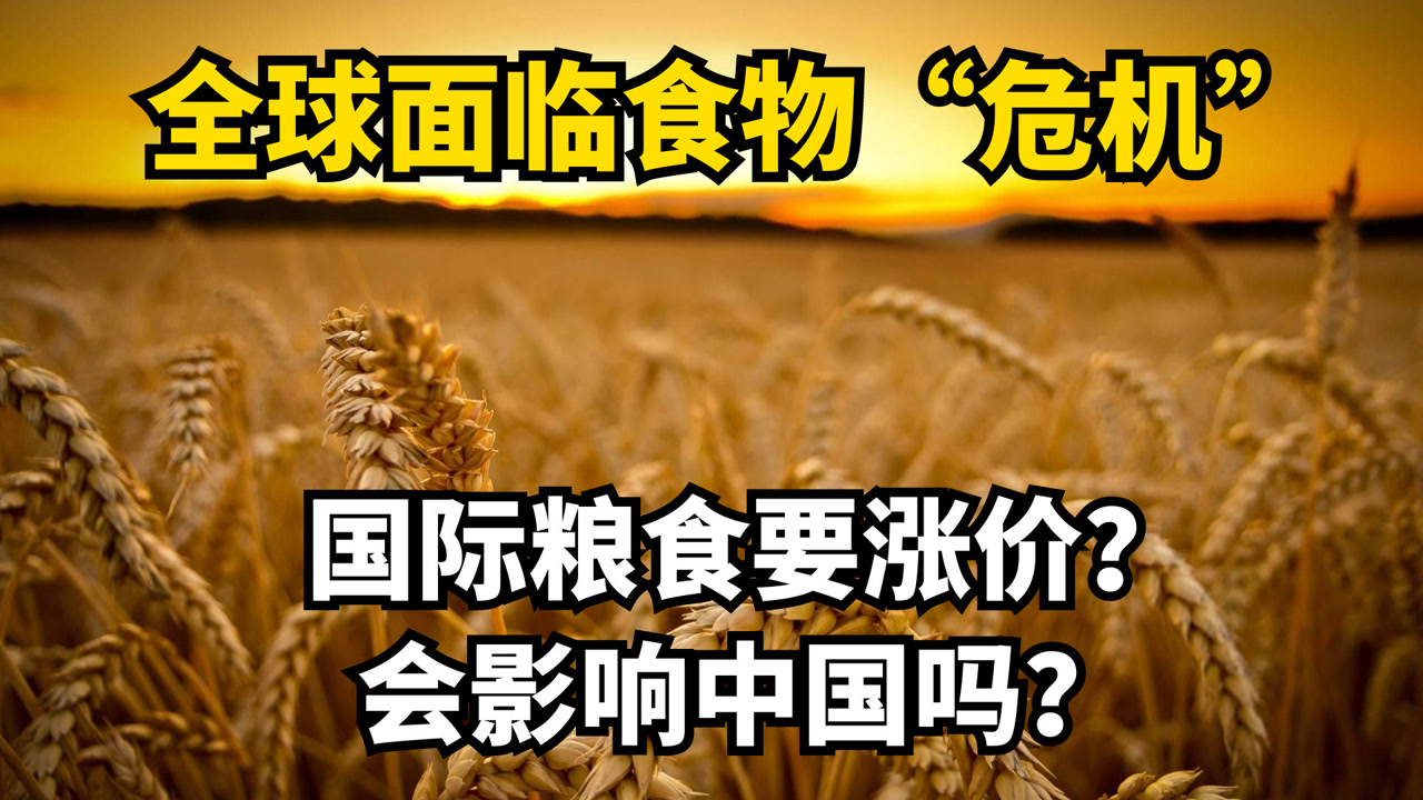 全球面临食物危机!国际粮食要涨价?会影响中国?