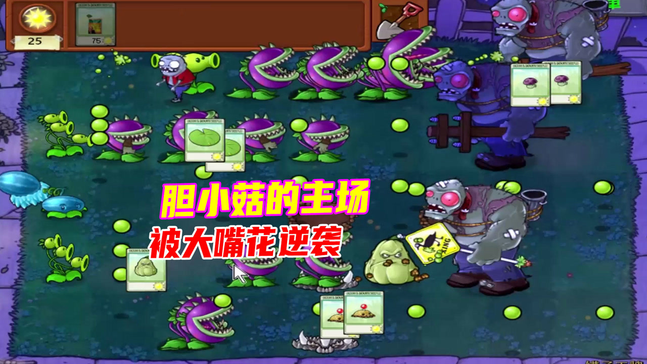 植物大战僵尸:开局一株胆小菇,其他植物沦为它的盾牌