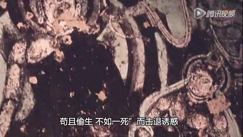 Nhk新丝绸之路 腾讯视频