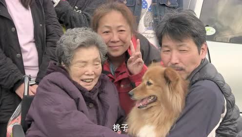 为你取名 腾讯视频