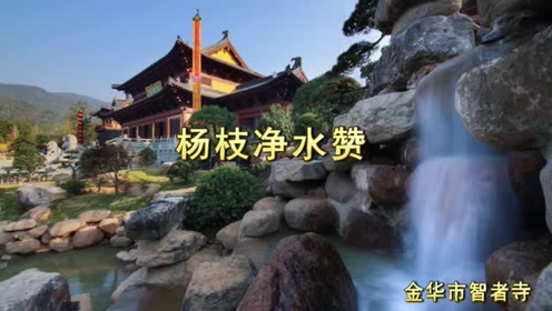 杨枝净水赞-金华市智者寺