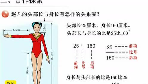 青岛版六年级数学上册四 人体的奥秘——比