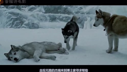 南极大冒险雪橇犬电影 腾讯视频