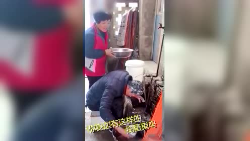 鱼恶搞视频，搞笑小鱼的视频
