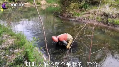 霞春村人口_人口普查