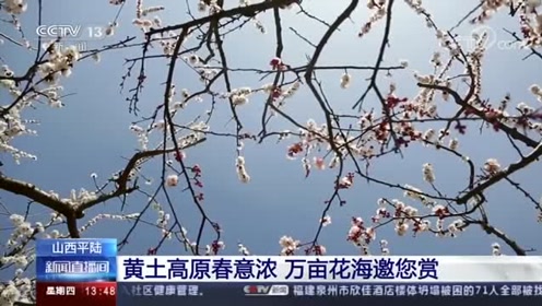 平陆2017年经济总量_平陆运河规划图