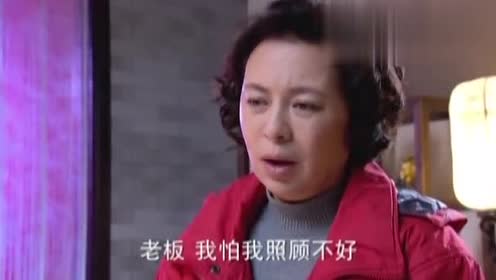短剧海瑶，探索现代娱乐的魅力与深度