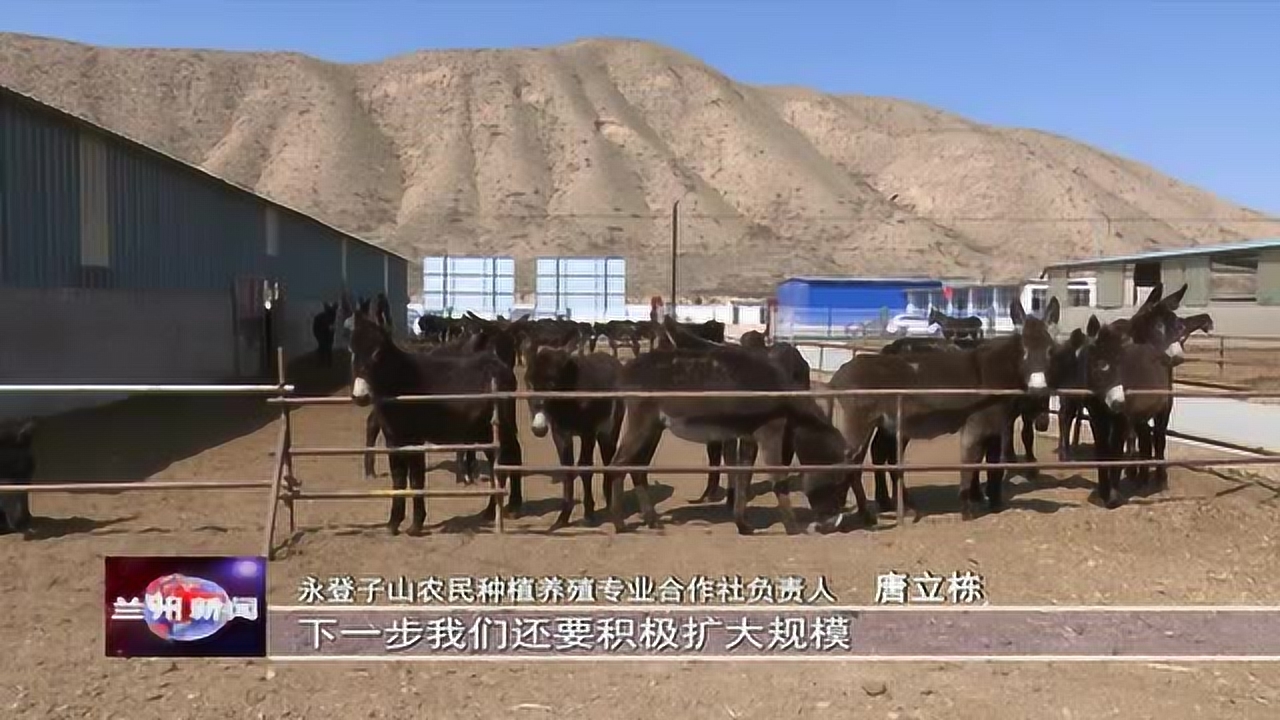 永登县龙泉寺镇"三变"改革"变"出乡村好生活