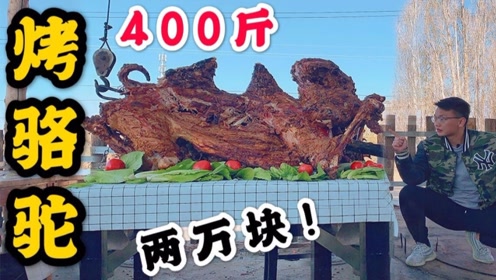 【烤骆驼】耗资近5万元,400斤整只烤骆驼,你见过吗?