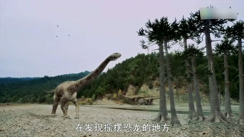 霸王龙时代,霸王龙唯一不敢惹的腕龙,居然在吃石头