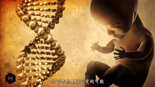 dna亲子鉴定百度百科 定 制 力口 v jpxsjk 腾讯视频