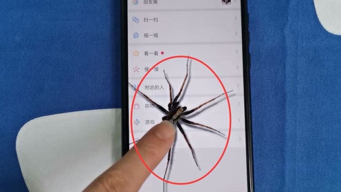 手机蜘蛛程序 腾讯视频