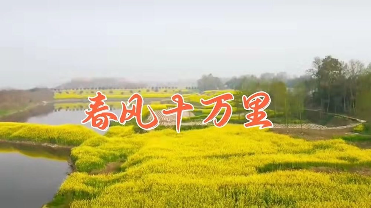 春风十万里真情演绎声乐教学跟帅哥合拍一个主持人唱歌技巧声乐教学学