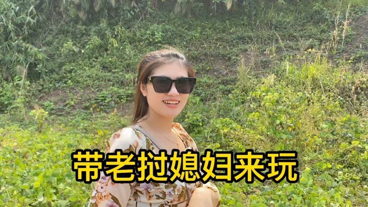 今天大老陈和老挝媳妇出去玩,来到老挝万象动物园,结果却没进去