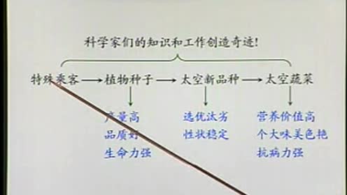 四年級語文上冊32 飛船上的特殊乘客
