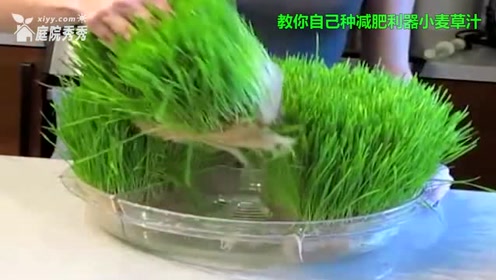 腾讯视频