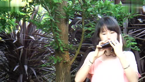 12孔陶笛ac调g调美人_陶笛12孔g调乐谱