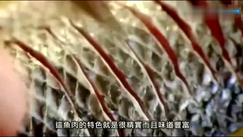 戈登 拉姆齐 腾讯视频