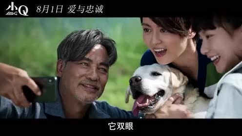 电影《小q》一次相遇 相守一生花絮特辑