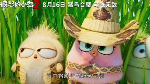《a电影的电影2》8月16日上映,这可是今夏最电影的经典了小鸟英国爆笑图片