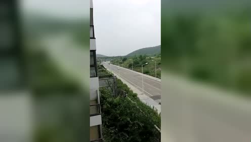 冒牌董事长_冒牌大保镖柳岩